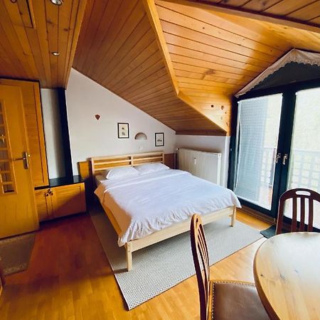 Apartma Snezinka 克拉尼斯卡戈拉 外观 照片