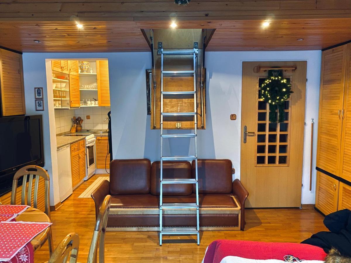 Apartma Snezinka 克拉尼斯卡戈拉 外观 照片