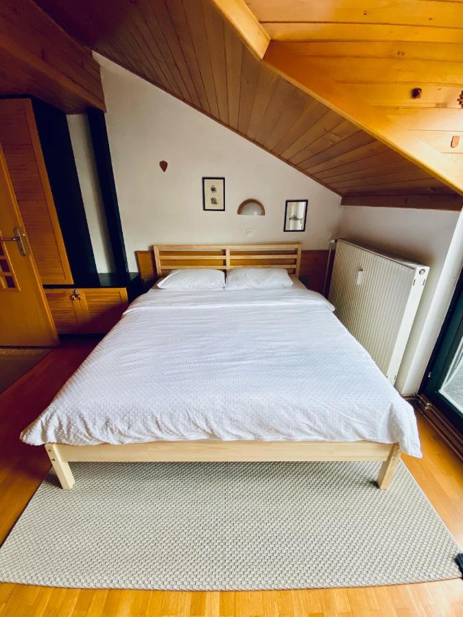 Apartma Snezinka 克拉尼斯卡戈拉 外观 照片