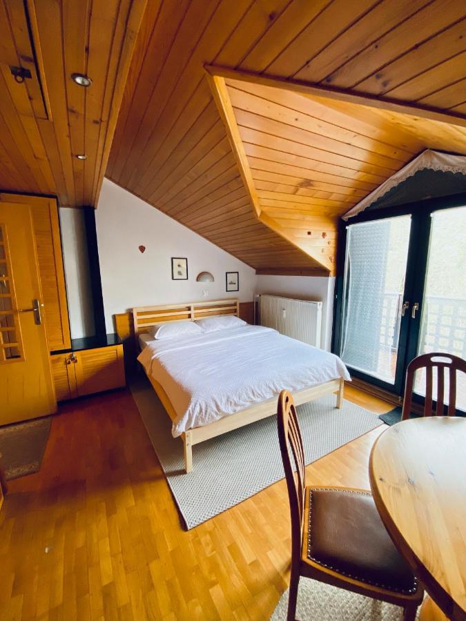 Apartma Snezinka 克拉尼斯卡戈拉 外观 照片